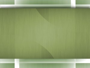 股权激励